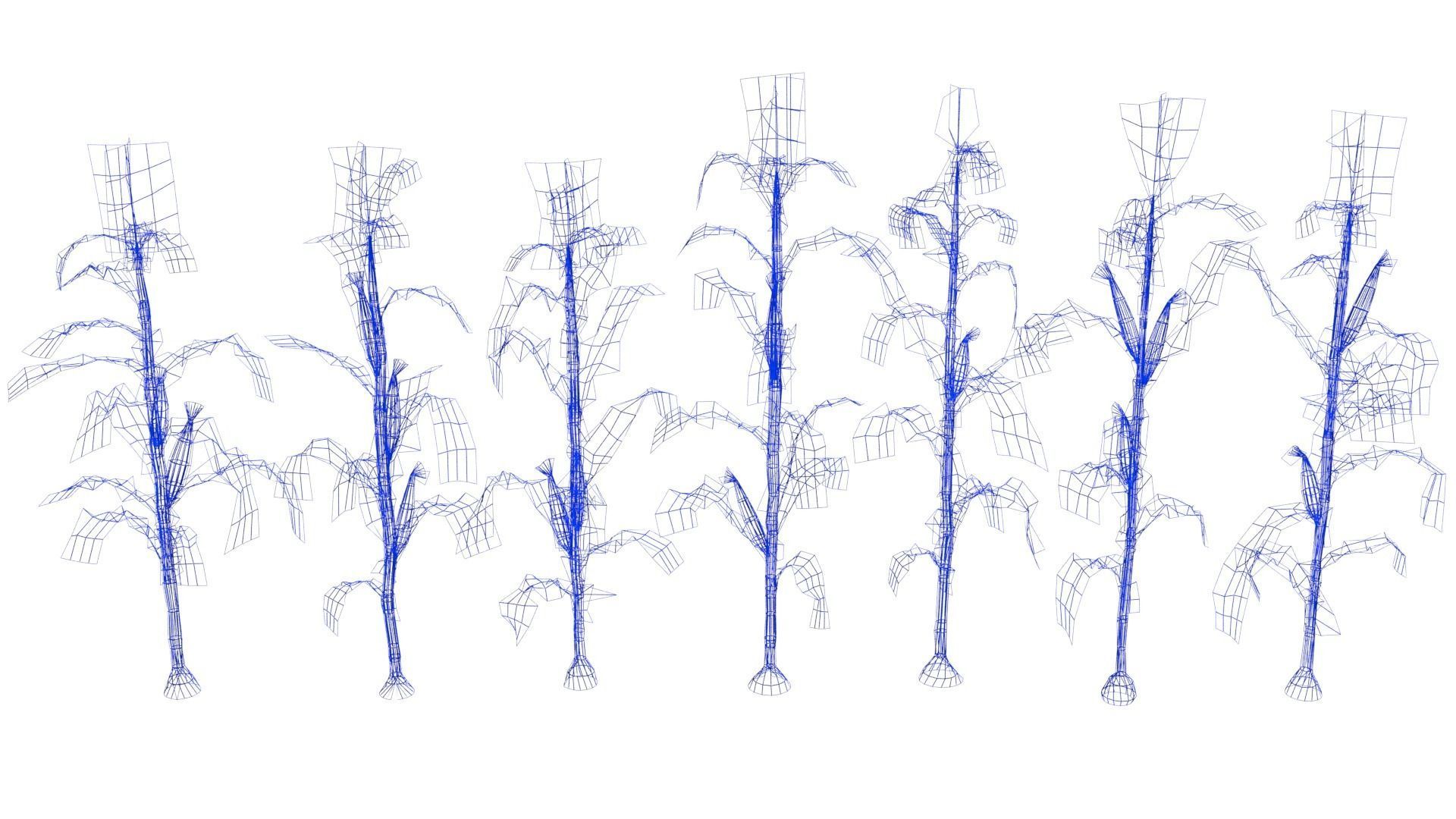 Corn field Low-poly 3D model_15