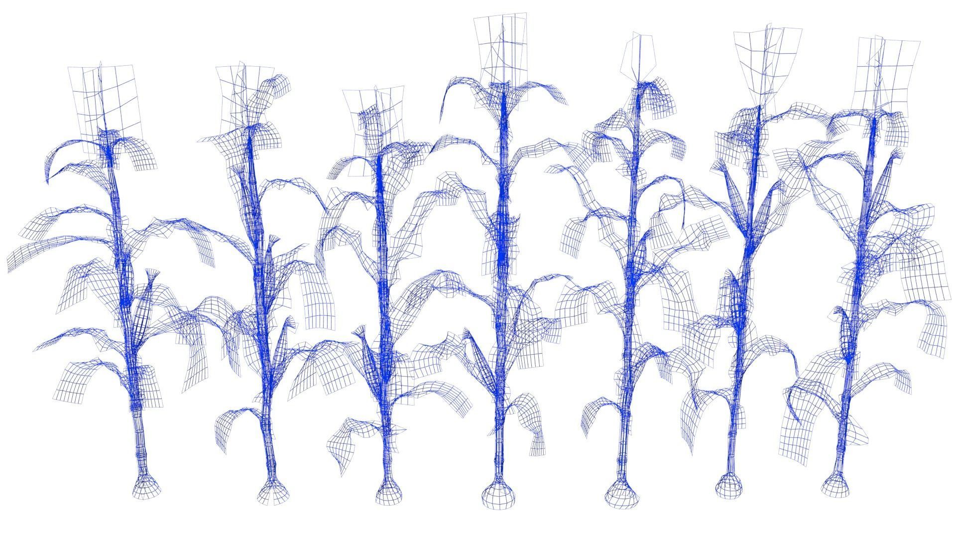 Corn field Low-poly 3D model_14