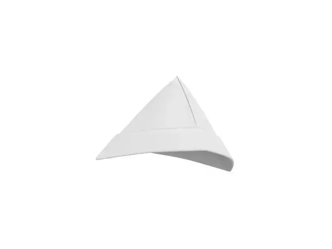 Paper Hat