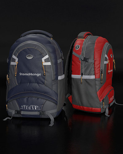 Backpack two backpacks 3D model