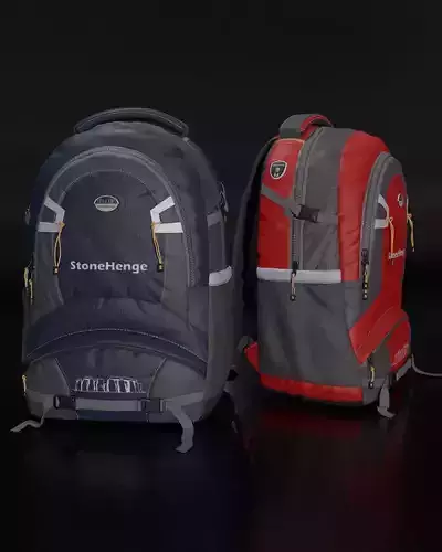 Backpack two backpacks