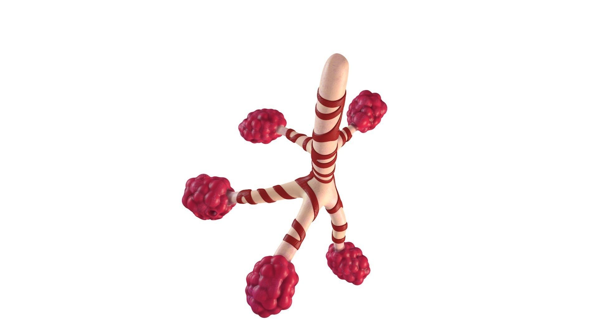 Human Bronchi Alveoli 3D model_6
