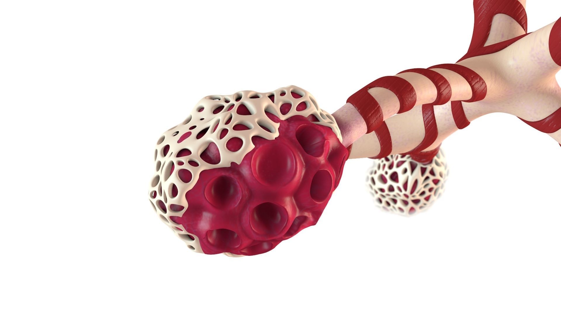 Human Bronchi Alveoli 3D model_0