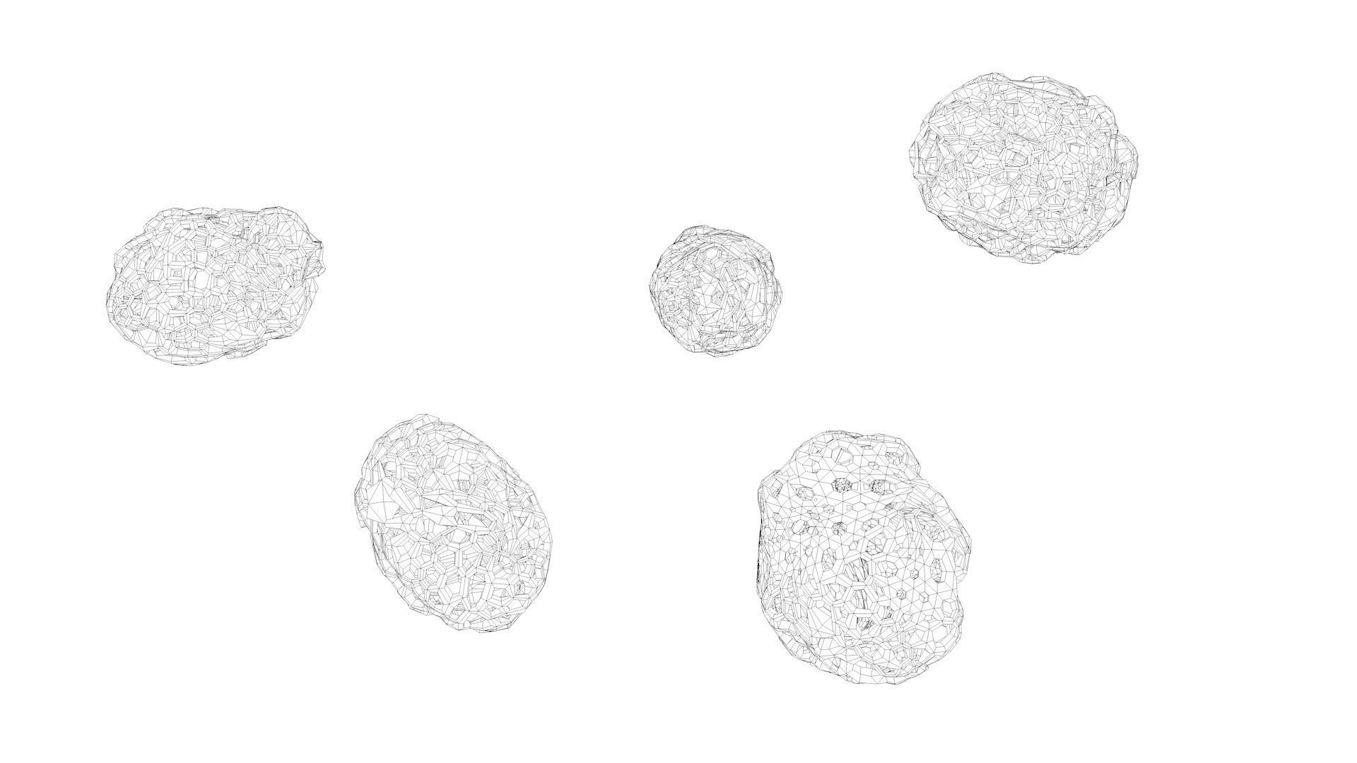 Human Bronchi Alveoli 3D model_14