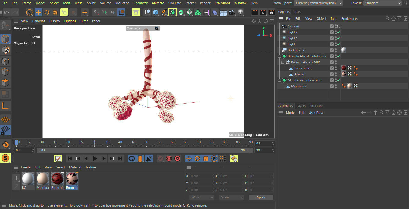 Human Bronchi Alveoli 3D model_11