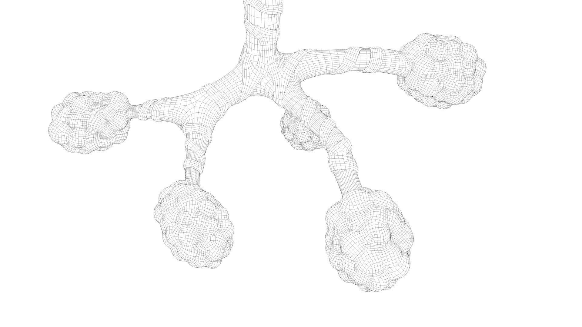 Human Bronchi Alveoli 3D model_16