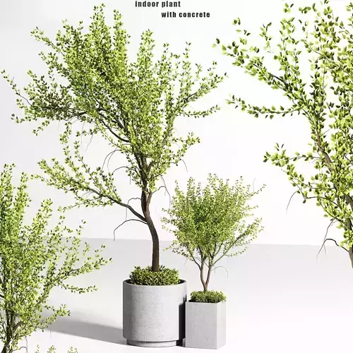 indoor plant stand 02