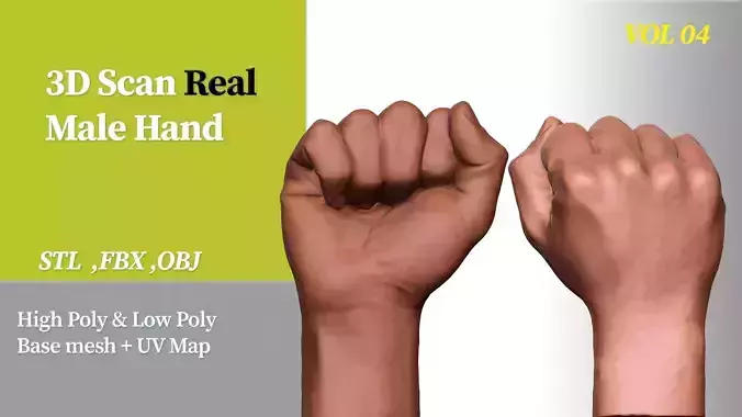 3D Scan Real Male Hand VOL 04 3D print model