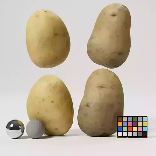 Potato 3D model