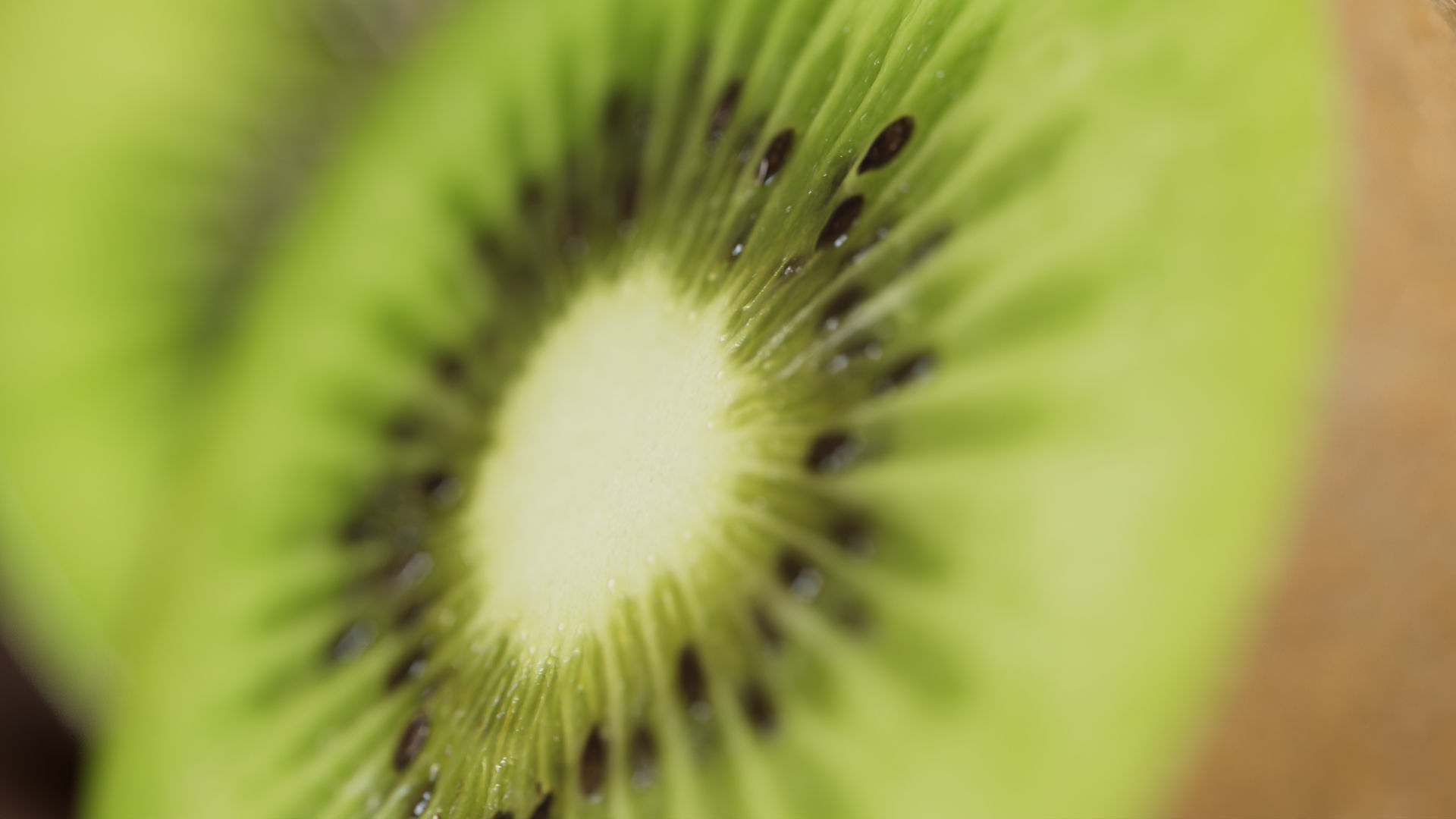 Kiwi green 3D model_6