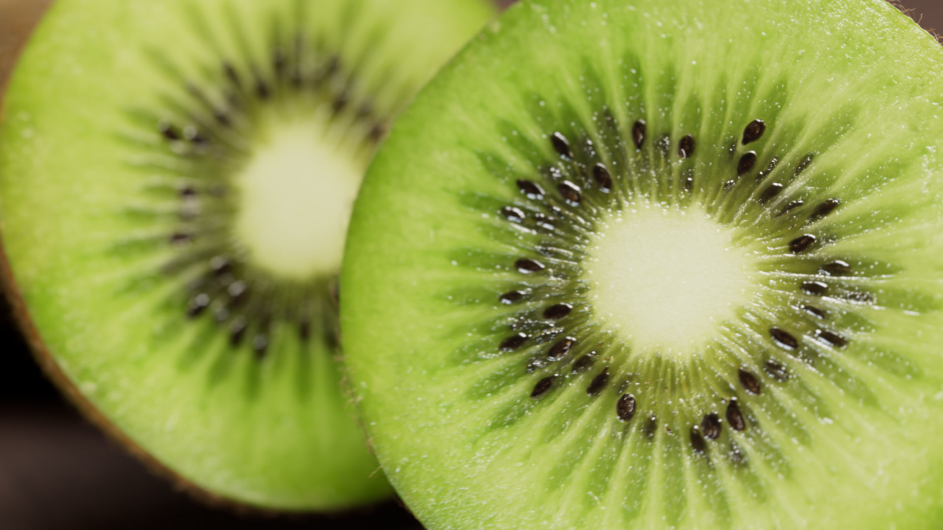 Kiwi green 3D model_5