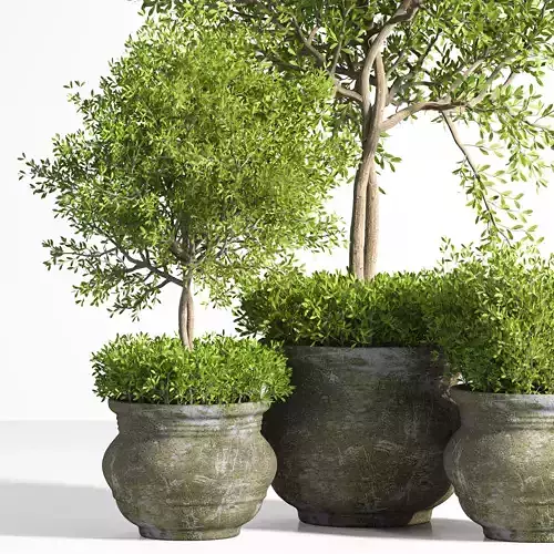 Indoor plant stand 07