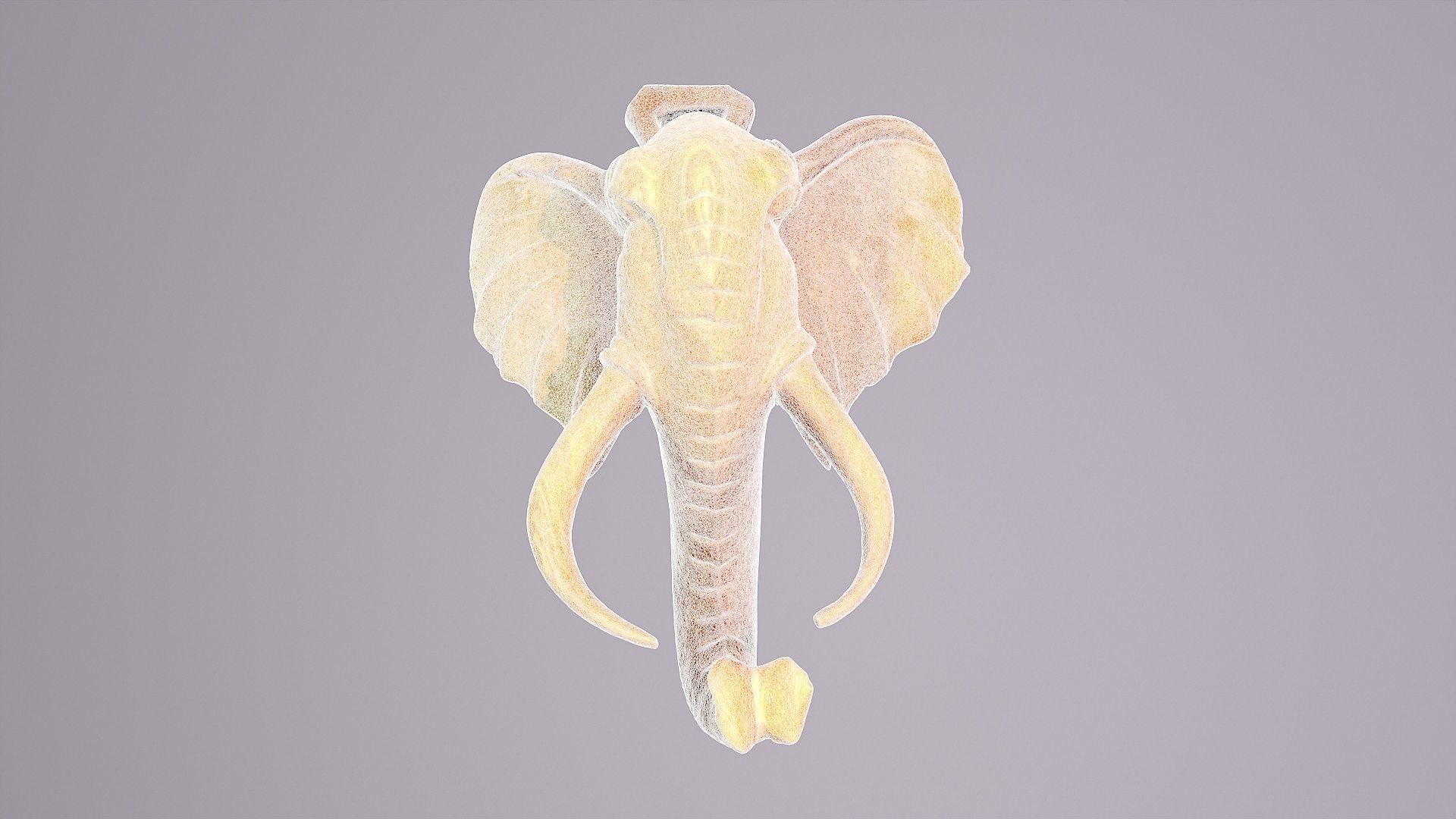 Elephant head wall decor high-poly 3D model_28
