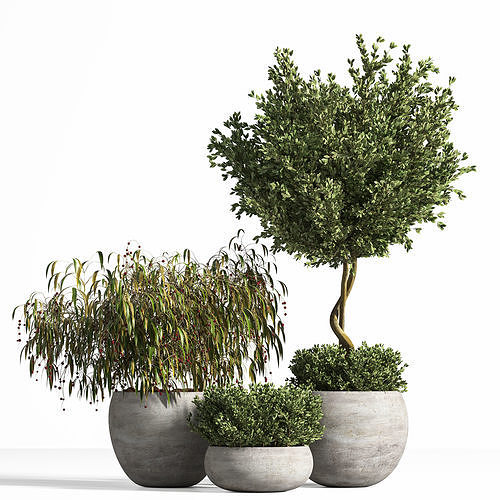 indoor plant stand 10 3D model