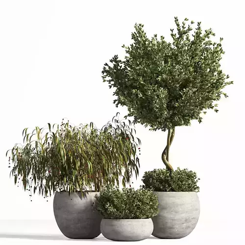 indoor plant stand 10 3D model