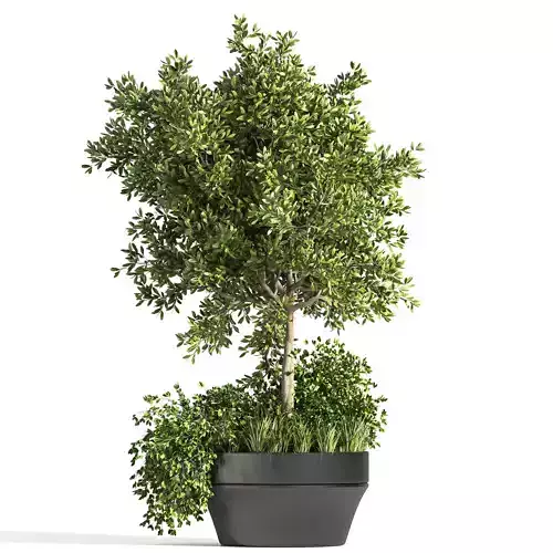 indoor plant stand 11 