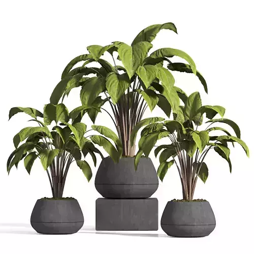 indoor plant stand 13