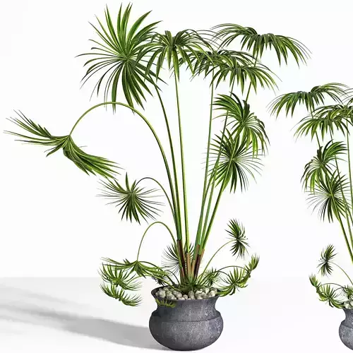 indoor plant stand 15 