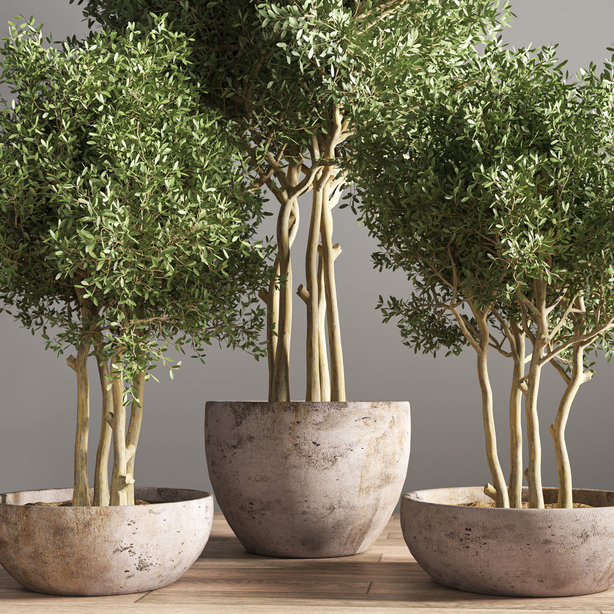 indoor plant stand 19 3D model_4