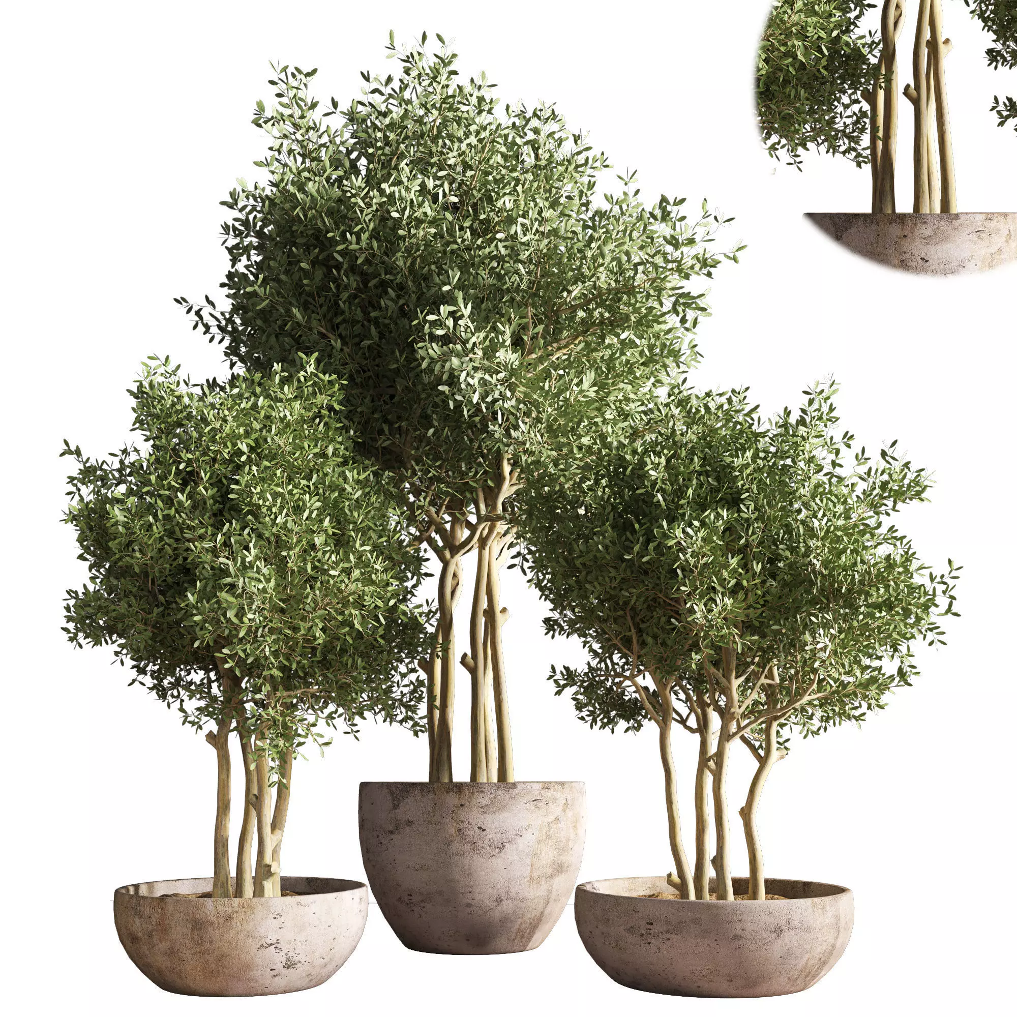 indoor plant stand 19 3D model_0