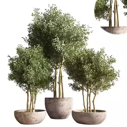 indoor plant stand 19 3D model