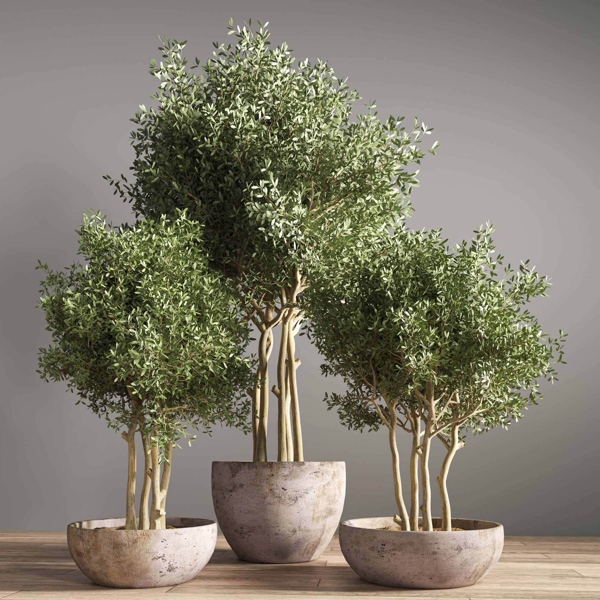 indoor plant stand 19 3D model_1