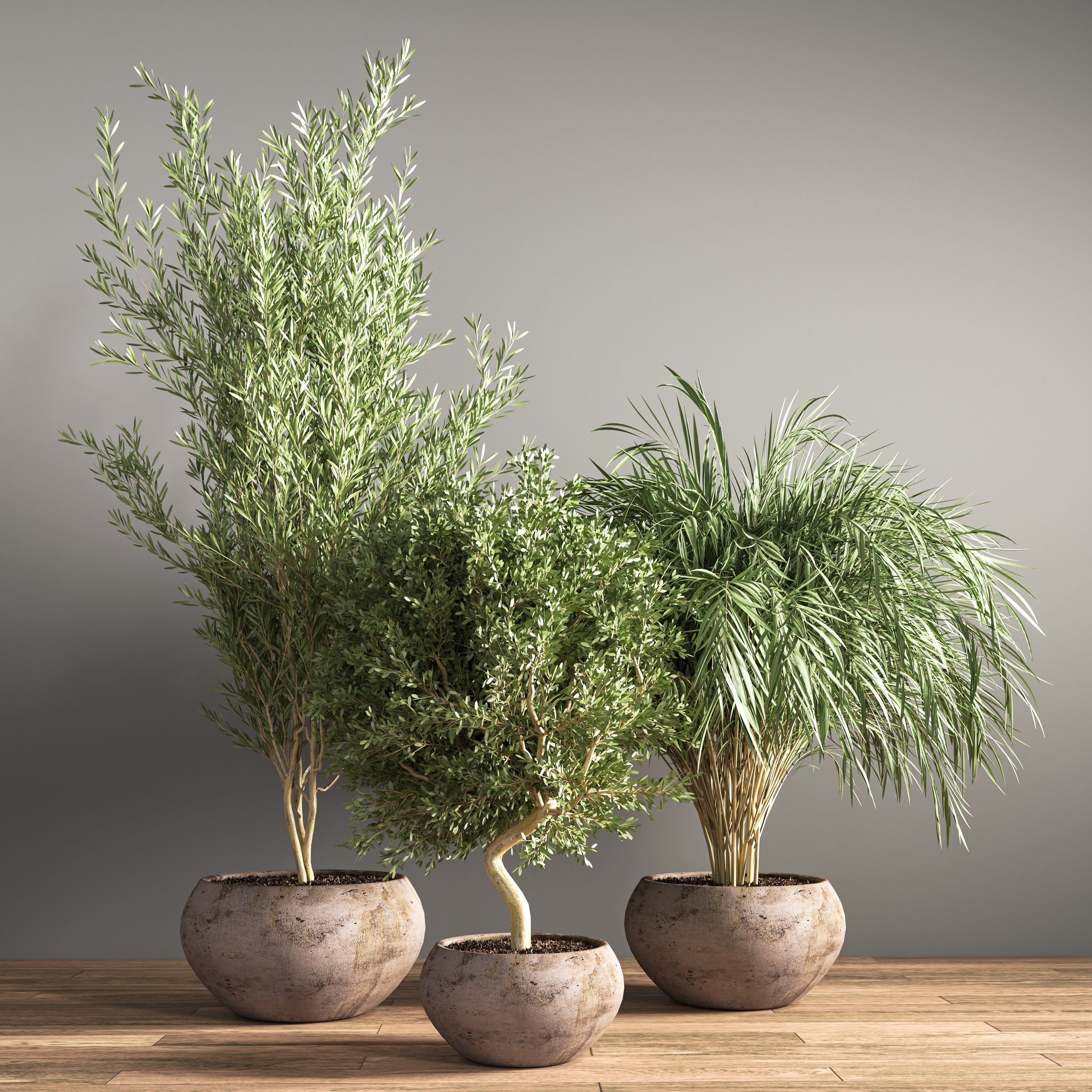 indoor plant stand 20 3D model_1