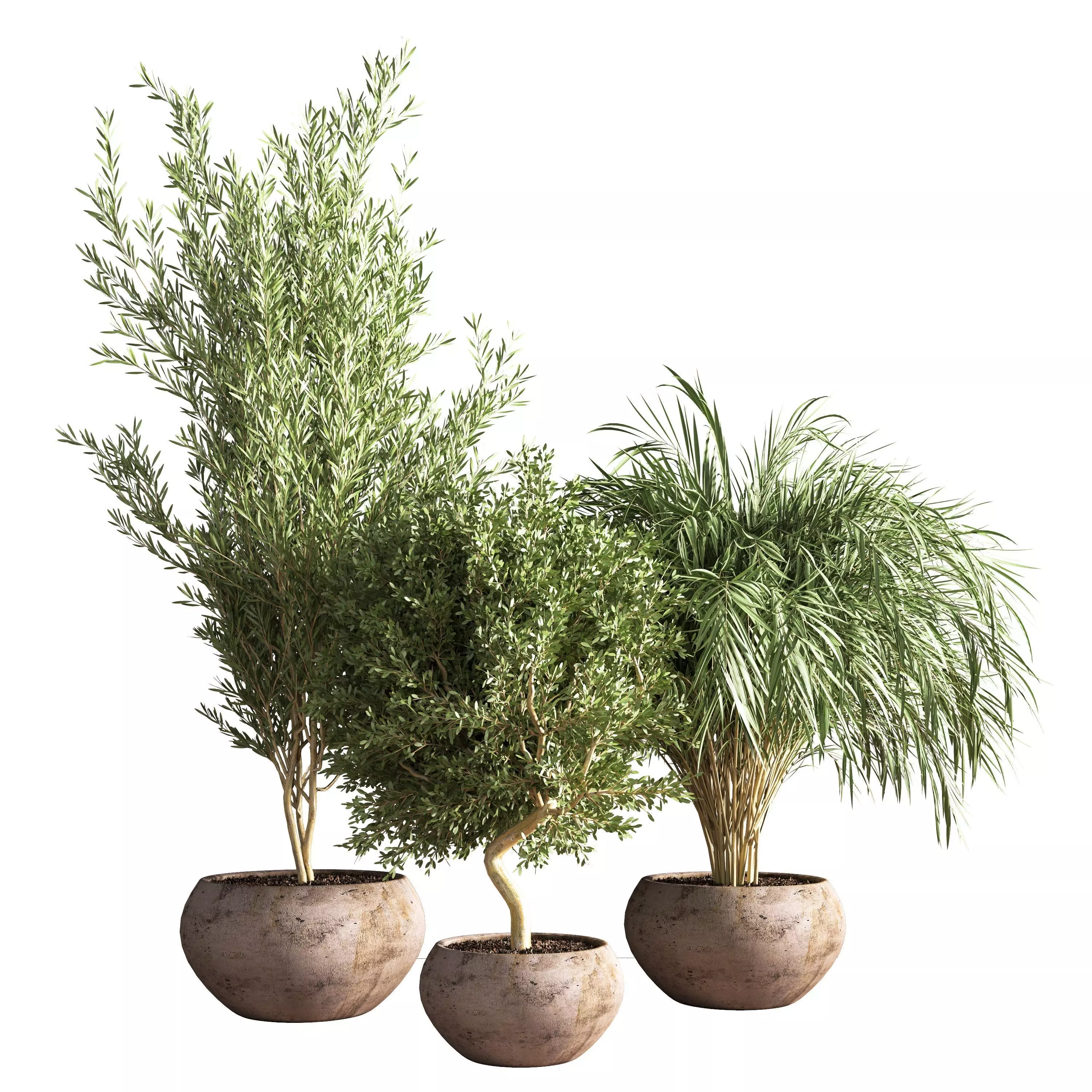 indoor plant stand 20 3D model_0