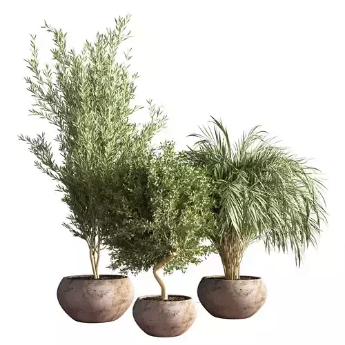 indoor plant stand 20 3D model