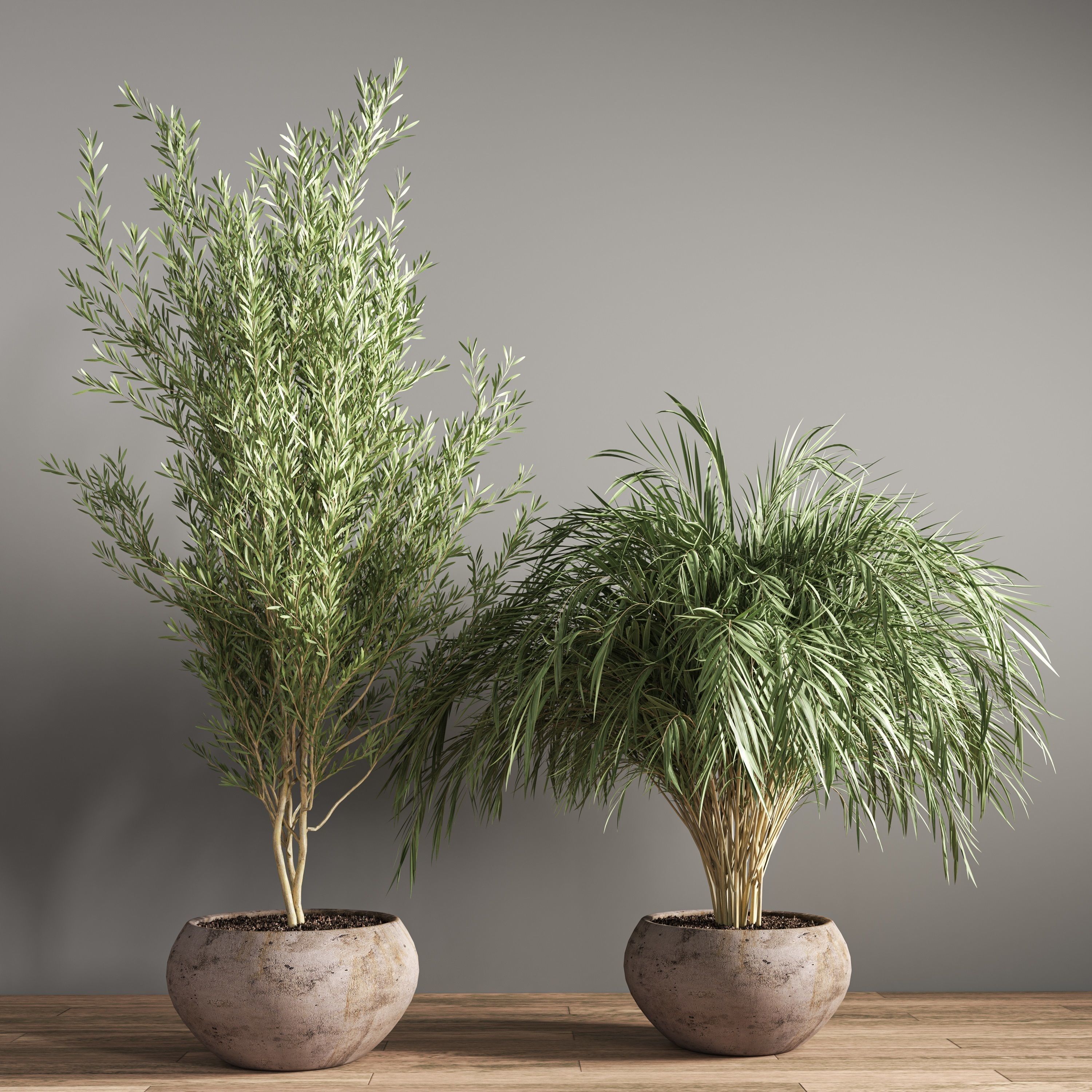 indoor plant stand 20 3D model_3