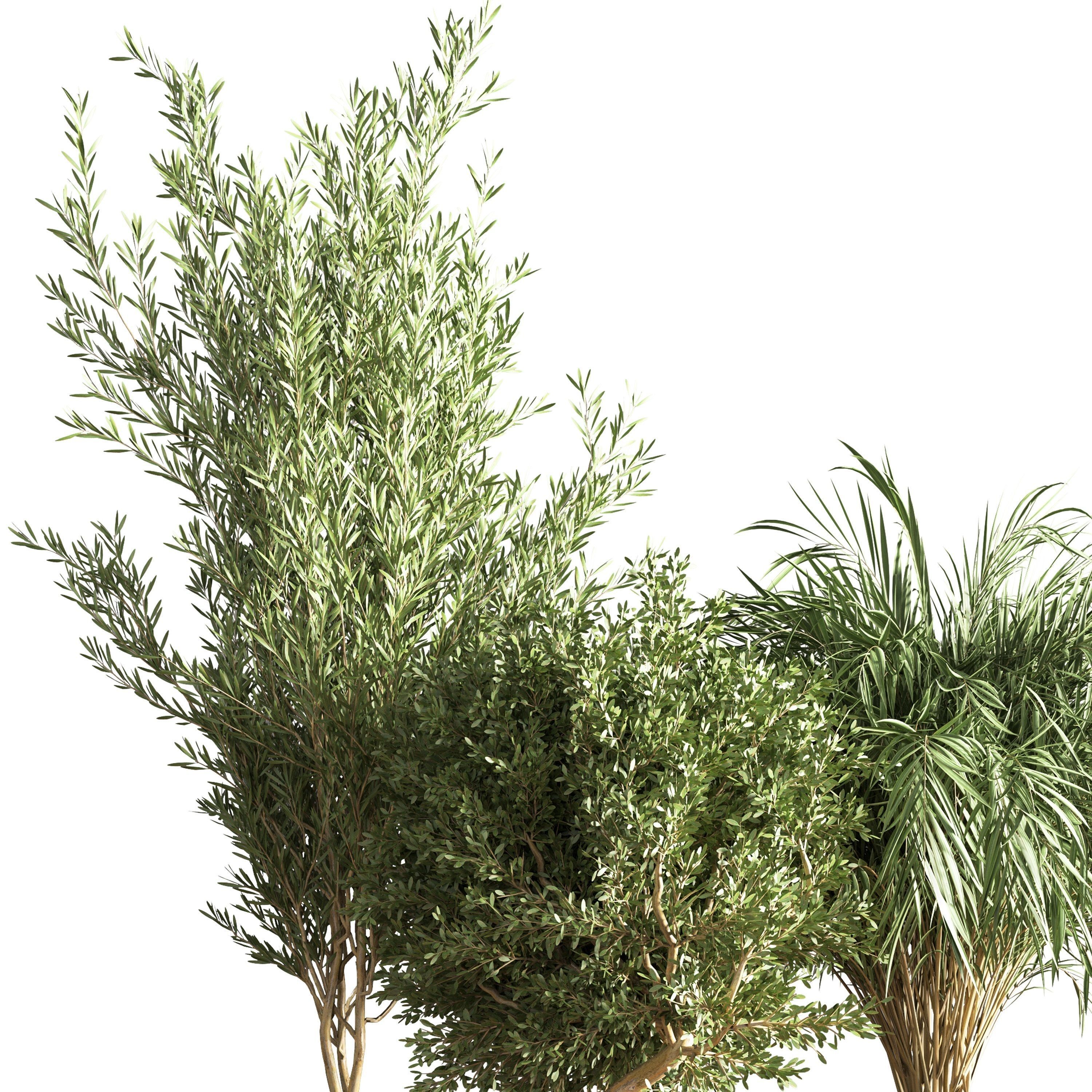 indoor plant stand 20 3D model_4