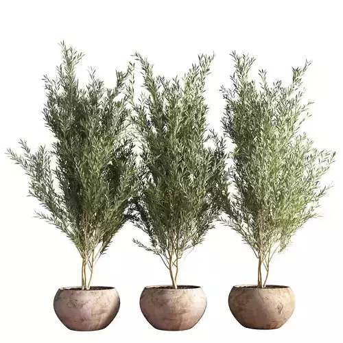 indoor plant stand 21 3D model