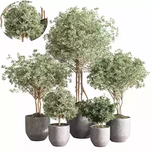 IndoorPlantSet13 set of three concrete potted plants