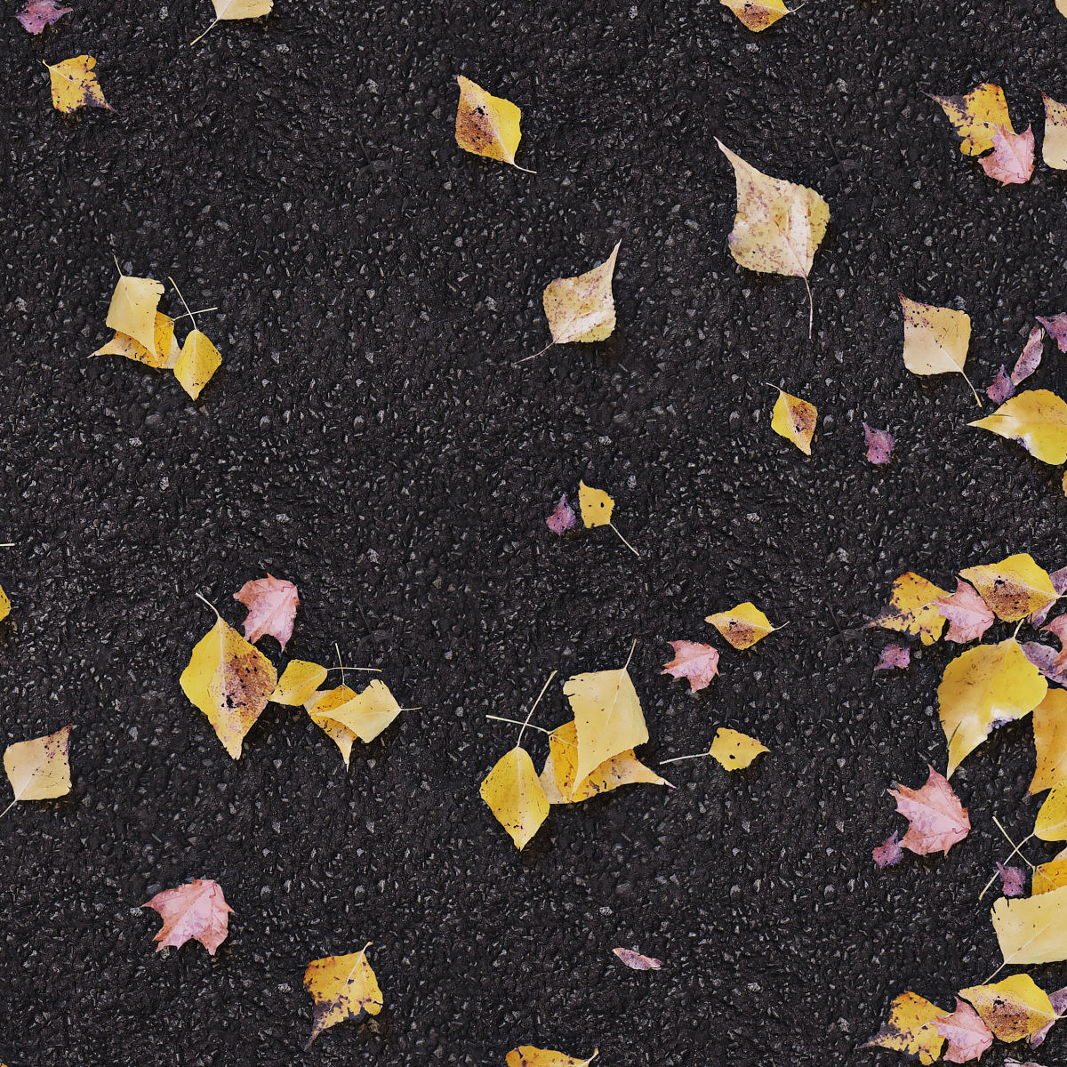 Autumn yellow leaves 2 3D model_6