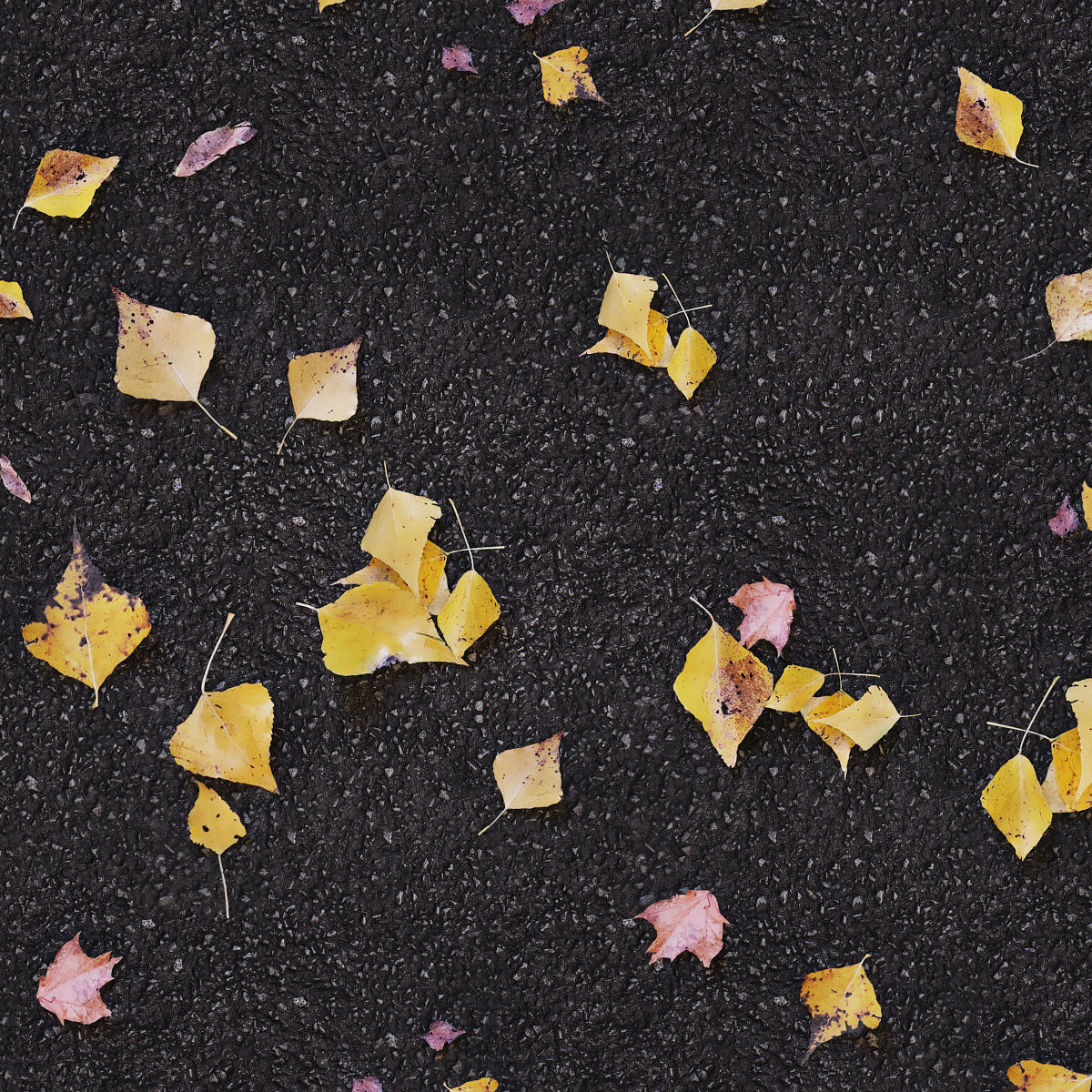 Autumn yellow leaves 2 3D model_5