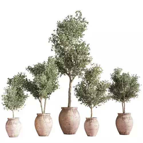 indoor plant stand 25