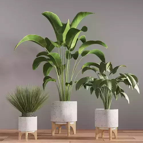 indoor plant stand 27