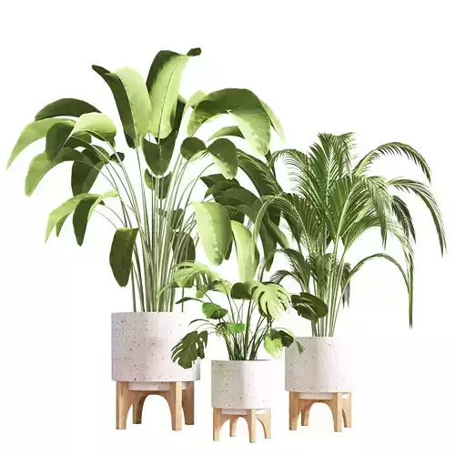 indoor plant stand 28