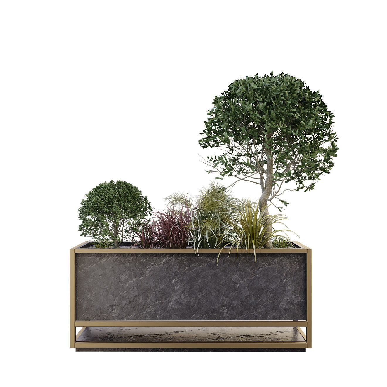 plant in box 175 3D model_1