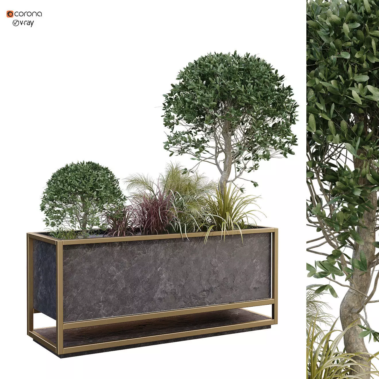 plant in box 175 3D model_0