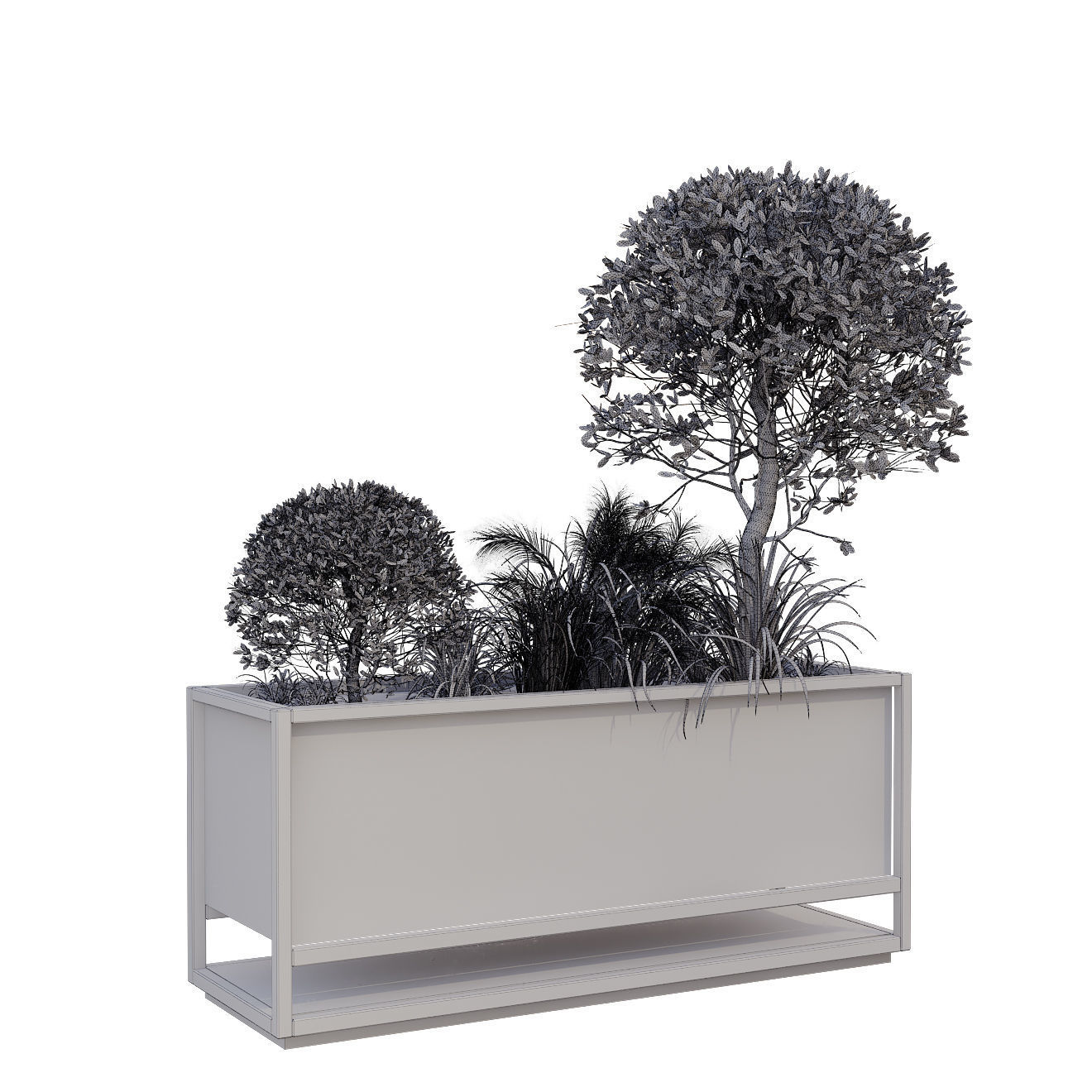 plant in box 175 3D model_6