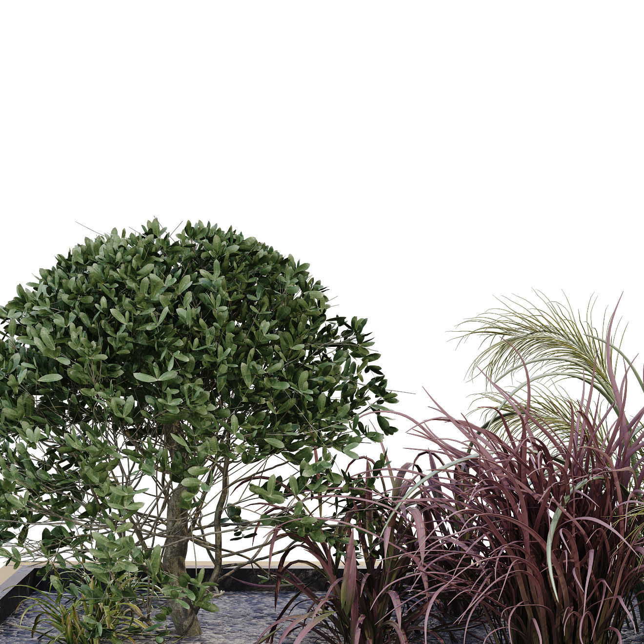 plant in box 175 3D model_3