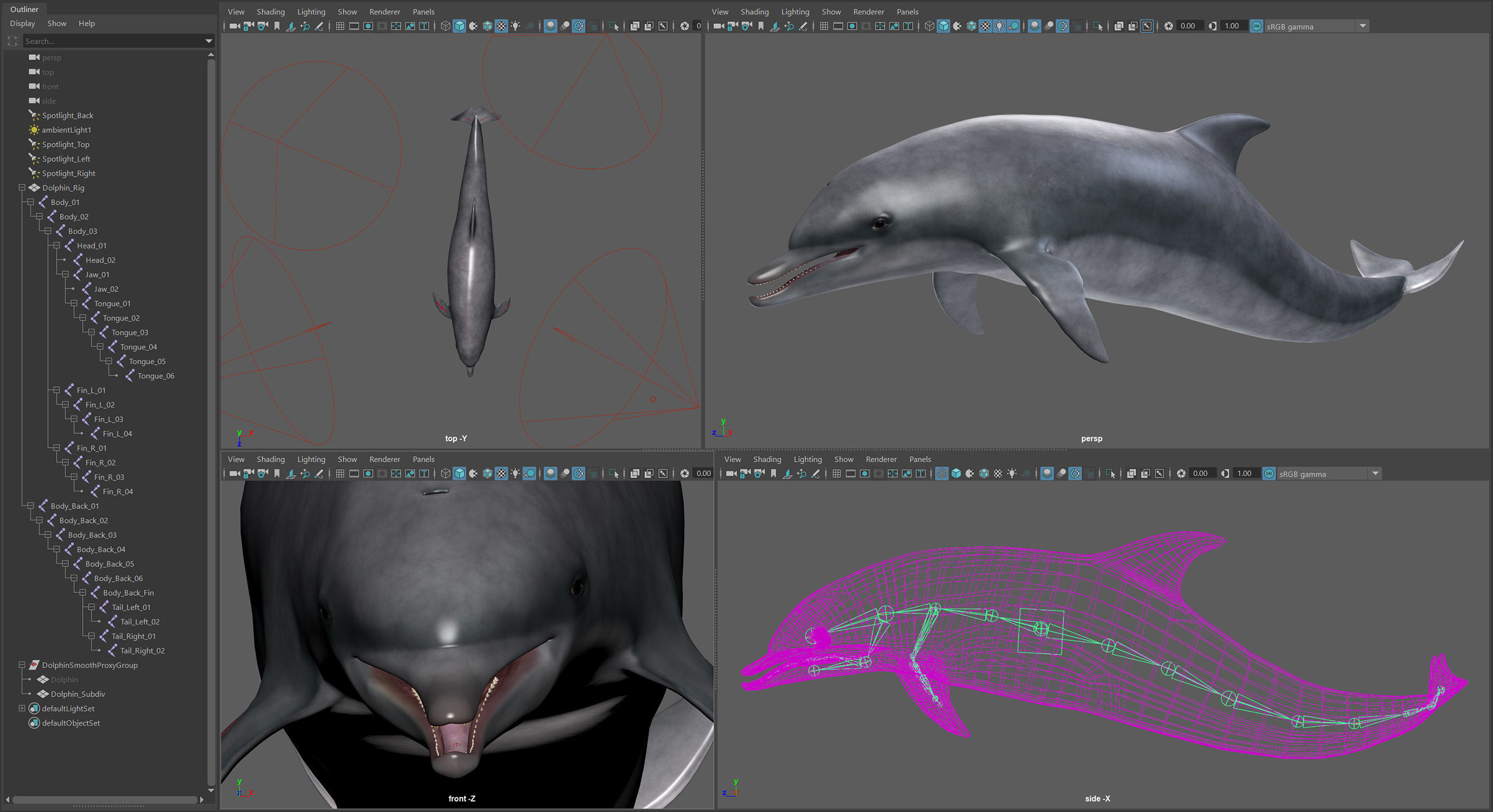 Animated Bottlenose Dolphin Low-poly 3D model_22