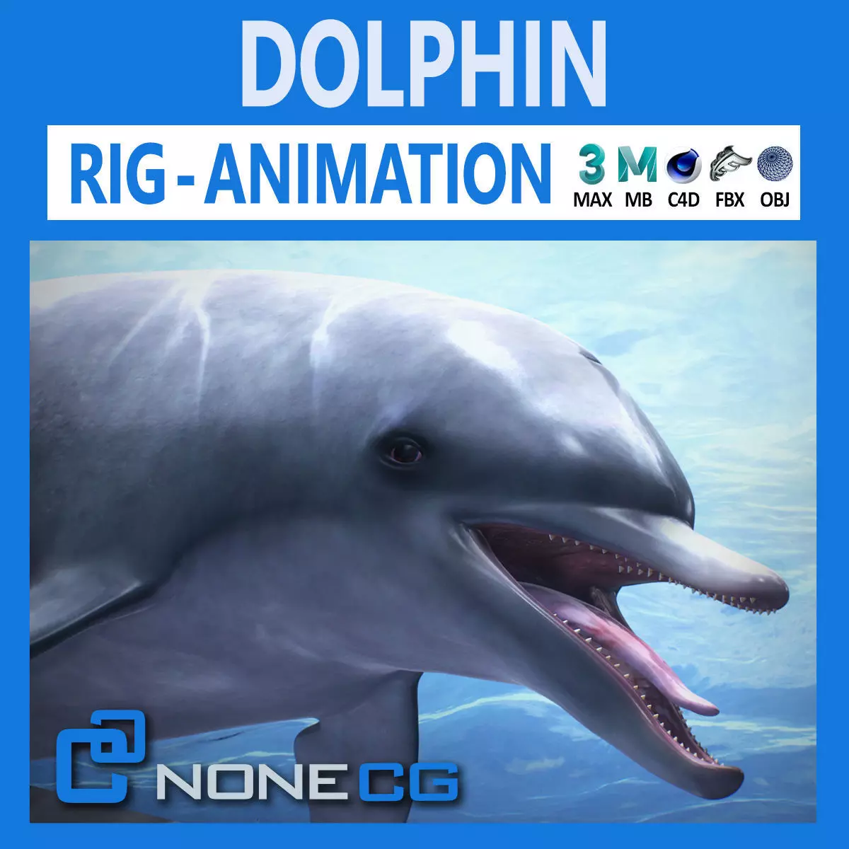 Animated Bottlenose Dolphin Low-poly 3D model_0