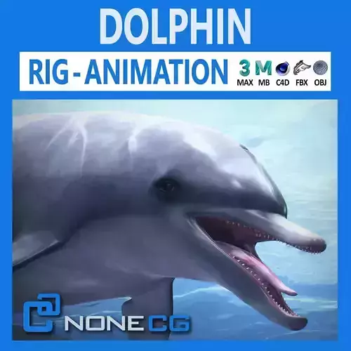 Animated Bottlenose Dolphin Low-poly 3D model