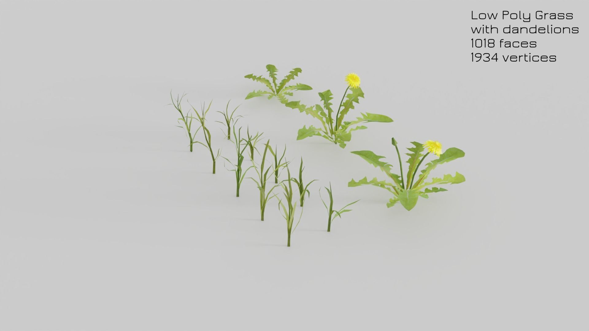 Dandelion Grass Low-poly 3D model_13