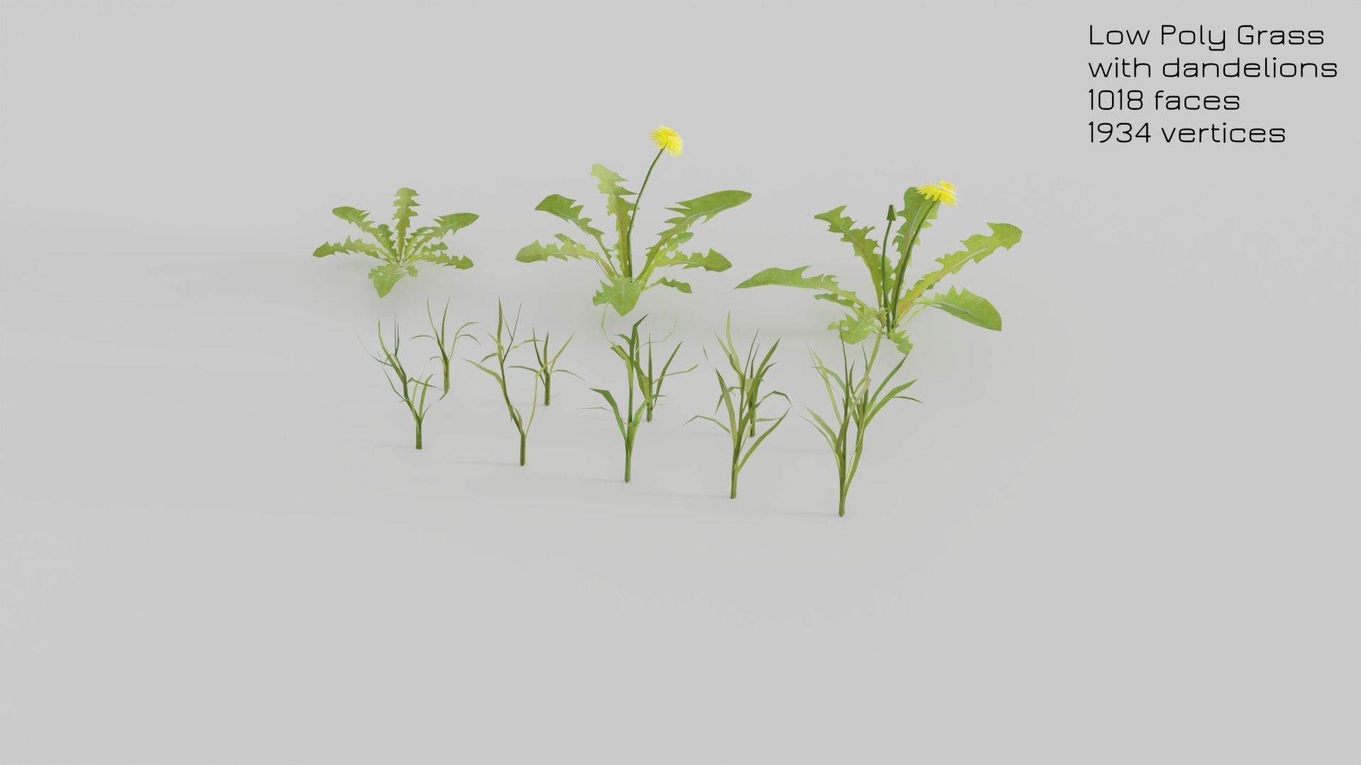 Dandelion Grass Low-poly 3D model_12