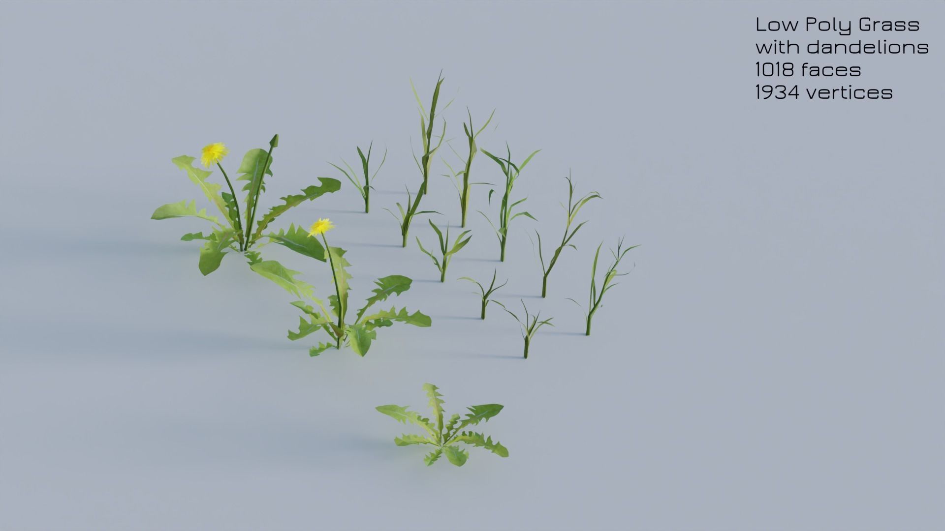 Dandelion Grass Low-poly 3D model_27