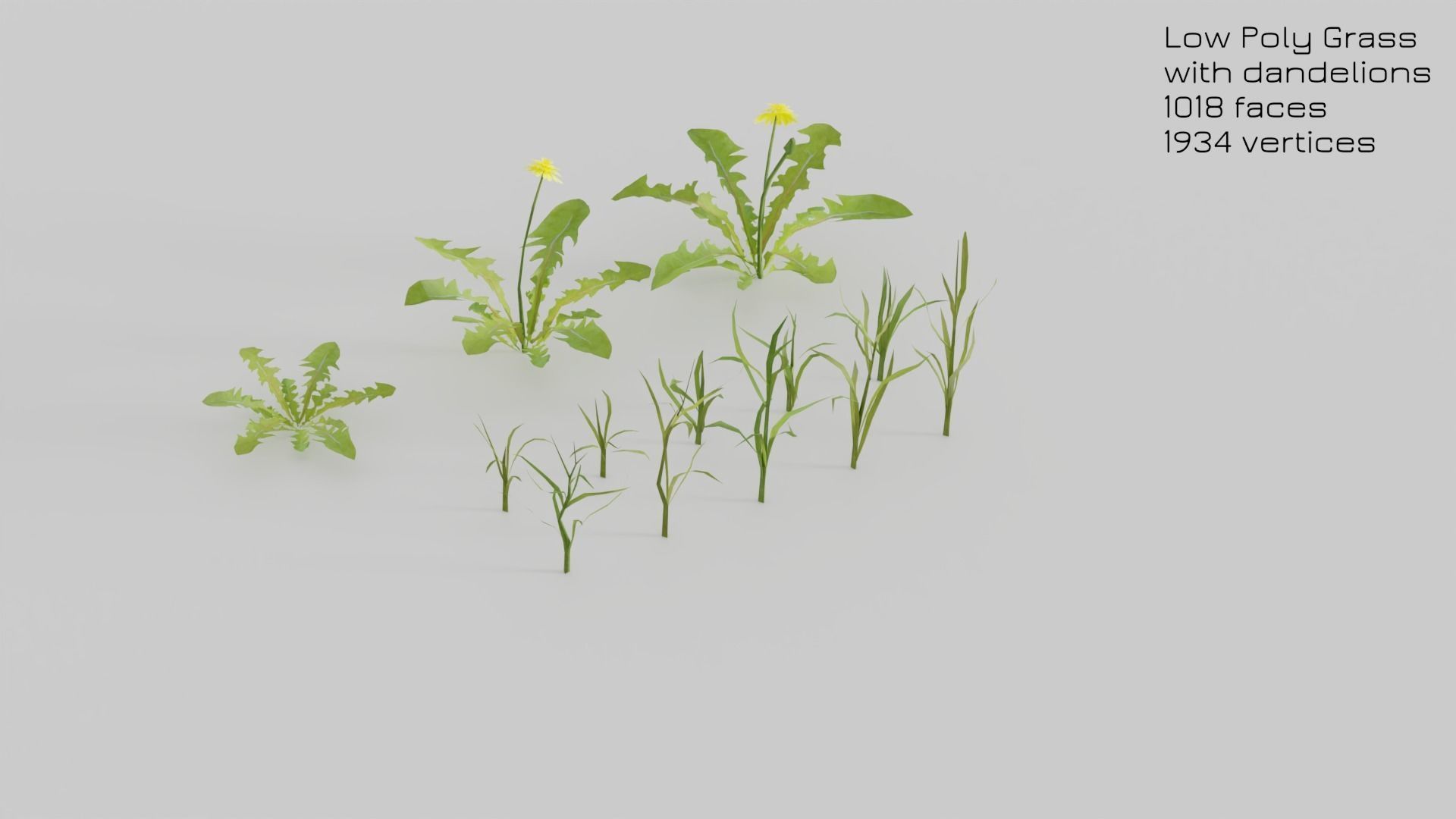 Dandelion Grass Low-poly 3D model_11
