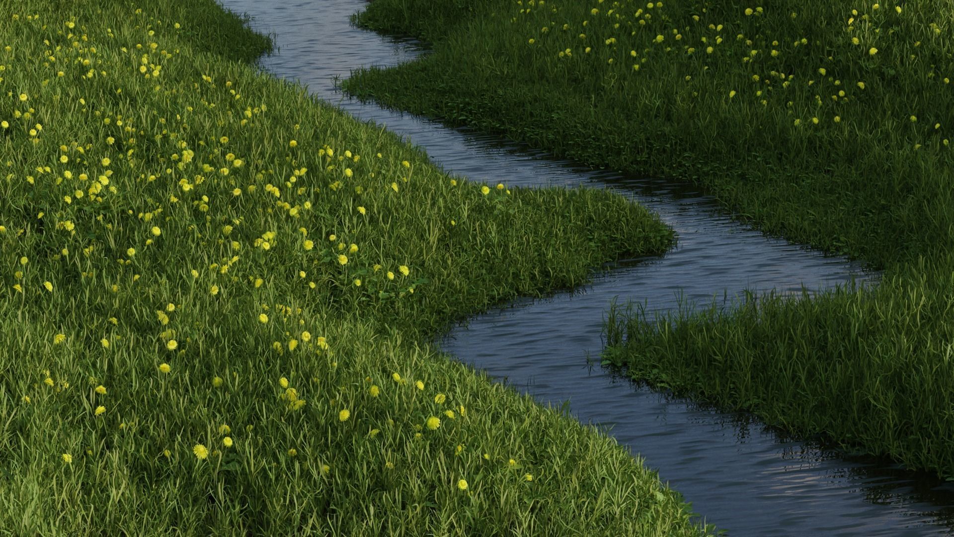 Dandelion Grass Low-poly 3D model_2